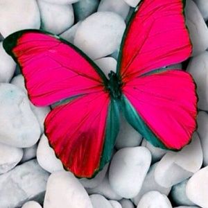 Meet your Posher, Toya